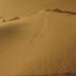 SPORTING-SAILS by Sukrafte - Downhill Skateboarding, Skiing & Snowboarding Sails